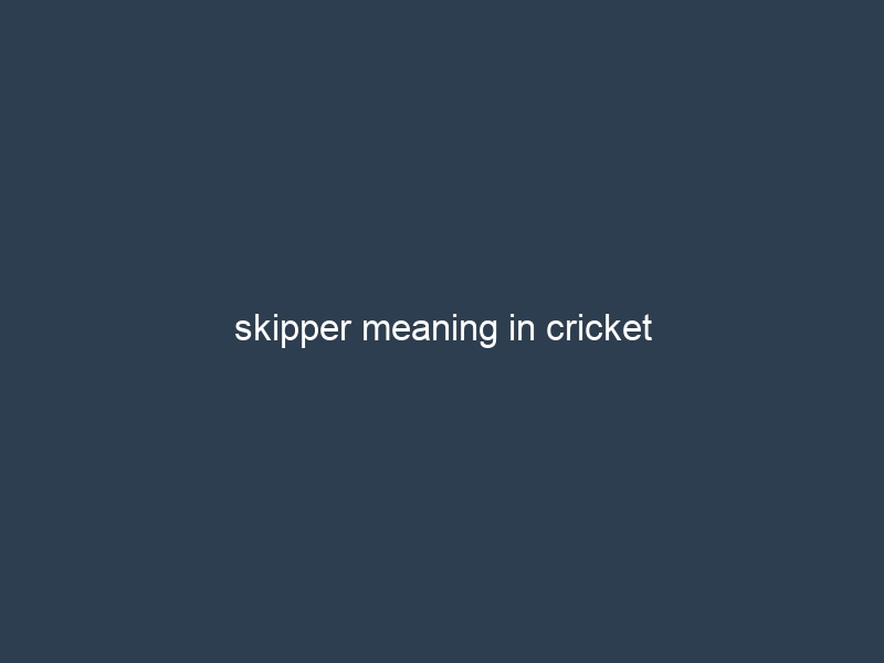 skipper meaning in cricket